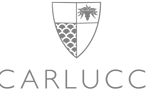 logo-jab-carlucci-gris-260x90